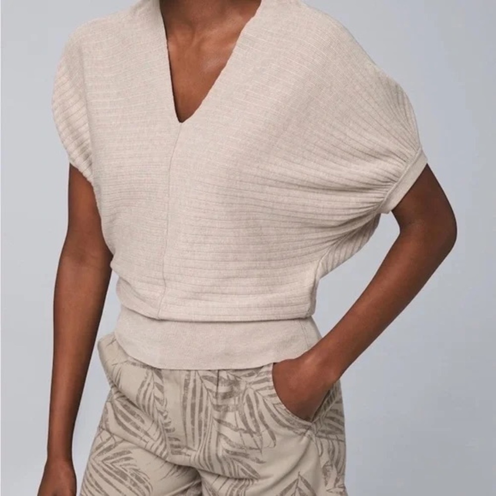 WHBM deep v-neck sweater